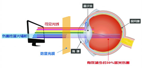 美成最新科技成果 防藍光膜成護眼利器 美成最新科技成果 防藍光膜成護眼利器